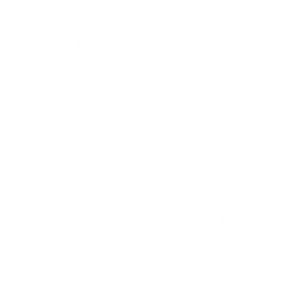 Spültechnik